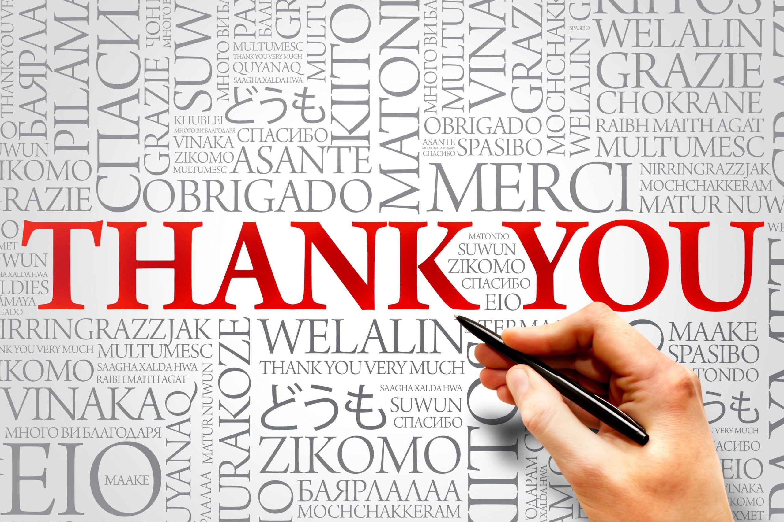 PrimeVigilance takes the opportunity to recognise International Women’s Day to say… Thank You!